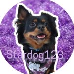 Star Dog123