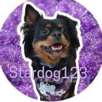 Star dog123